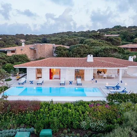 Gloriator * Portobello